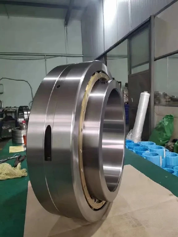 Split  Bearing 01B560M